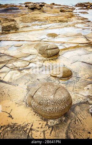 La costa rocciosa dura a Artillery Rock lungo la Great Ocean Road, Victoria, Australia. Foto Stock