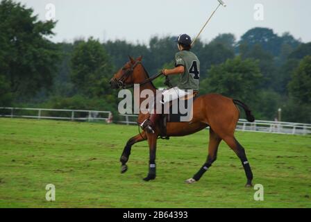 un giocatore di polo seduto su un cavallo di polo marrone durante un torneo Foto Stock