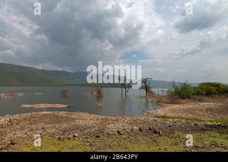 Il lago di Bogoria è un lago salino, alcalino, africano Foto Stock