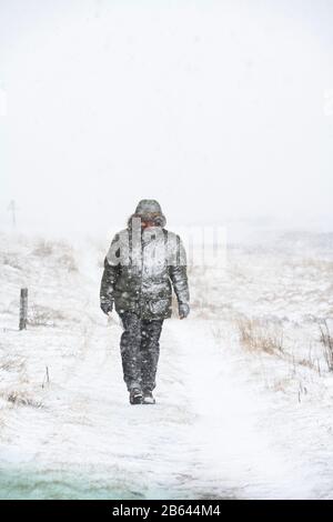 Uomo che cammina in una tempesta di neve durante la tempesta Jorge vicino alla strada tra le colline e wanlockhead. Febbraio 2020. Confini scozzesi, Scozia Foto Stock