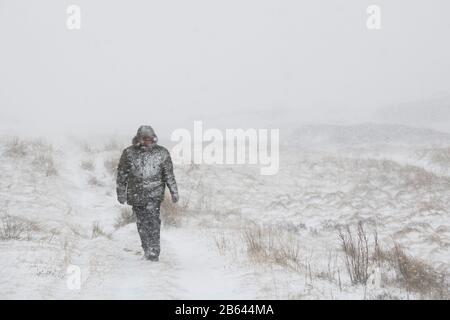 Uomo che cammina in una tempesta di neve durante la tempesta Jorge vicino alla strada tra le colline e wanlockhead. Febbraio 2020. Confini scozzesi, Scozia Foto Stock