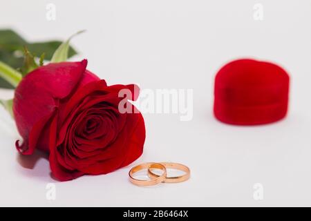 Singola rosa rossa su sfondo bianco. Anelli d'aggancio in oro e cuore a forma di scatola di velluto vicino. Foto Stock