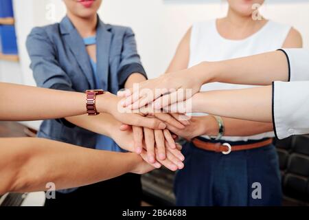 Immagine ravvicinata di donne imprenditrici che si accatastano le mani per esprimere il sostegno prima di iniziare il lavoro sul grande progetto Foto Stock