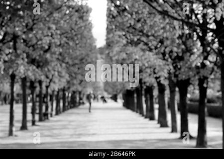 Blurry Abstract Parigi City View In Primavera. Persone che godono Springtime. Foto Stock