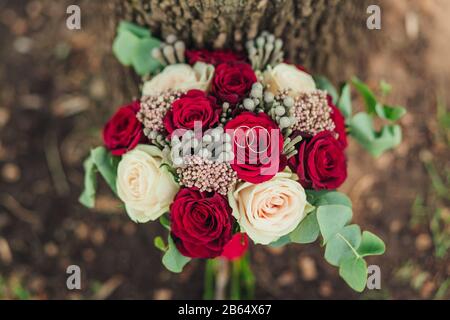Primo piano di due anelli da sposa con fiori da sposa su tronco di albero coperto di muschio Foto Stock