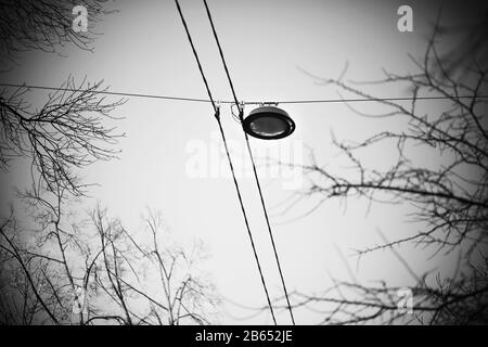Un'immagine in bianco e nero di una lampada da strada appesa su fili vicino alle cime degli alberi e ai loro sottili rami. È crepuscolo e malinconia fuori. Foto Stock
