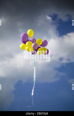 Volare nel cielo palle giallo e viola. Foto Stock