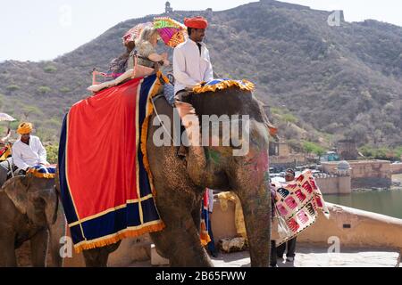 Elefanti con drappeggi rossi che trasportano turisti di fronte alle massicce colline aravali sulla salita al forte ambrato Foto Stock