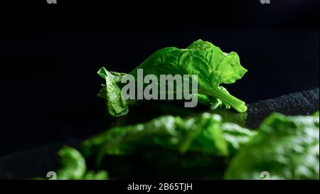 Sano concetto di cibo vegano: Primo piano retroilluminazione di foglie di spinaci verdi appena raccolte poste su una piastra di ardesia e sfondo nero con effetto bokeh Foto Stock