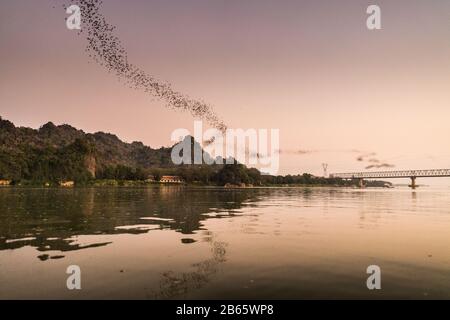 Pipistrelli che volano sul fiume Amouth, Myanmar, Asia. Foto Stock