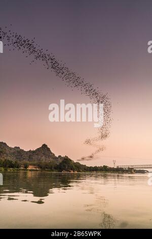 Pipistrelli che volano sul fiume Amouth, Myanmar, Asia. Foto Stock