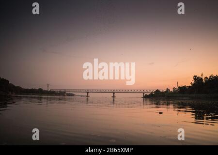 Pipistrelli che volano sul fiume Amouth, Myanmar, Asia. Foto Stock