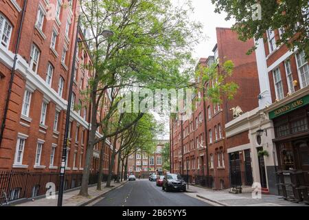 Bella tipica strada londinese in mattoni rossi (Hastings Street, Londra, Inghilterra, Regno Unito). Alberi di grandangolo. Piantati sul lato-cammina. Foto Stock