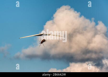 Ala deltaplano con motore piccolo. Aereo ultraleggero Foto Stock