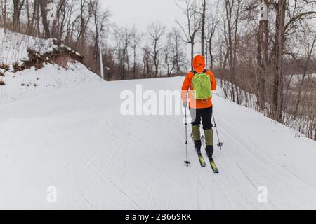 Giovane sciatore di backcountry maschile in abiti luminosi che si muovono in un bosco innevato Foto Stock