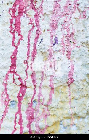 Primo piano di una parete di stucco ruvida e intonacata dipinta in bianco. Gocce e macchie di vernice rosa. Sfondo testurizzato ad alta risoluzione. Foto Stock