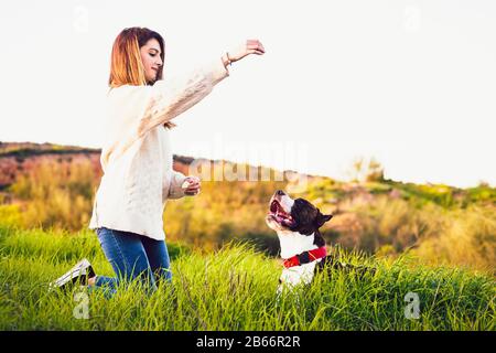 Giovane donna con maglie bianche e jeans formazione American Staffordshire Terrier nel campo Foto Stock