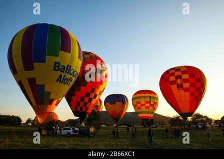 Canberra, Australia. 10th Mar, 2020. Durante il 2020 Canberra Balloon Spettacolare a Canberra, Australia, 10 marzo 2020, si vedono palloncini d'aria calda. Credit: Chu Chen/Xinhua/Alamy Live News Foto Stock