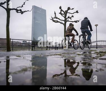 10 marzo 2020, Hessen, Francoforte sul meno: Due ciclisti rotolano lungo il meno sotto la pioggia, dietro di loro si può vedere la sede della Banca Centrale europea (BCE). Presso la BCE vi è un primo caso confermato di coronavirus nel personale. Un membro del team ha testato positivamente il nuovo patogeno, annunciato dalla banca centrale. Foto: Frank Rumpenhorst/Dpa Foto Stock