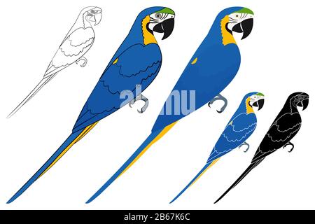 Arara caninde bird in vista profilo Illustrazione Vettoriale