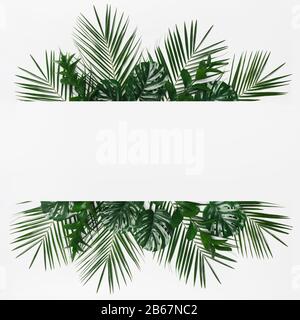 Cornice tropicale creativa di monstera e foglie di palma Foto Stock