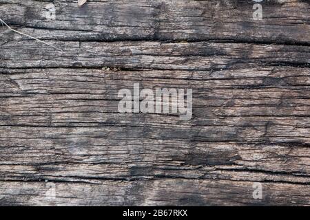 Le tavole di legno possono essere utilizzate come texture di sfondo Foto Stock