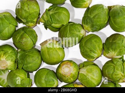 Bruxelles germogliano di fondo, mucchio di germogli Foto Stock