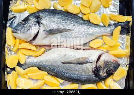 Piatto da forno con paio di pesce dorado fresco e crudo mediterraneo e patatine contorno contorno contorno preparato per la cottura. Cucina europea fatta in casa Foto Stock