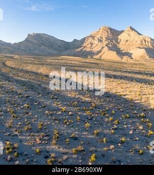 La luce del sole del tardo pomeriggio crea contrasto sui calanchi e sulle gole del deserto roccioso e alto non lontano da Las Vegas, Nevada. Foto Stock