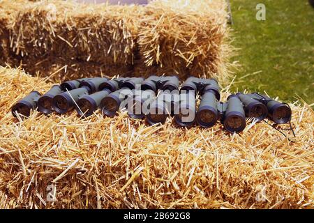 Festival dei bambini . Nel parco del Centro Heydar Aliyev. Si stanno preparando a leggere l'inno nazionale dell'Azerbaigian Foto Stock