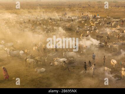 Veduta aerea di lunghe mucche corni in un campo di bestiame della tribù Mundari pieno di fumo, Equatoria Centrale, Terekeka, Sudan del Sud Foto Stock