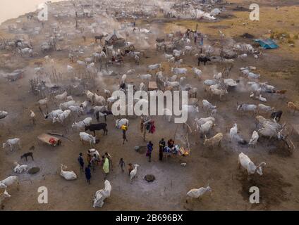 Veduta aerea di lunghe mucche corni in un campo di bestiame della tribù di Mundari, Equatoria Centrale, Terekeka, Sudan del Sud Foto Stock