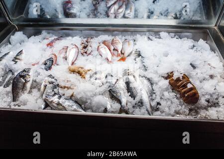 Pesce di mare appena pescato e gamberetti in vendita su un banco con ghiaccio Foto Stock