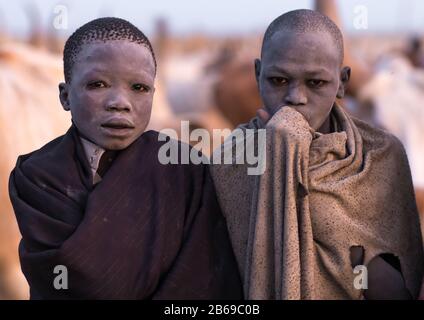 I ragazzi della tribù Mundari erano coperti di cenere per respingere mosche e zanzare in un campo di bestiame, Equatoria Centrale, Terekeka, Sudan del Sud Foto Stock