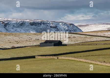 Una stretone di Cronkley e parte di Widdybank Cadde dall'altra parte del dale ad High Beck Head, Upper Teesdale, Regno Unito Foto Stock