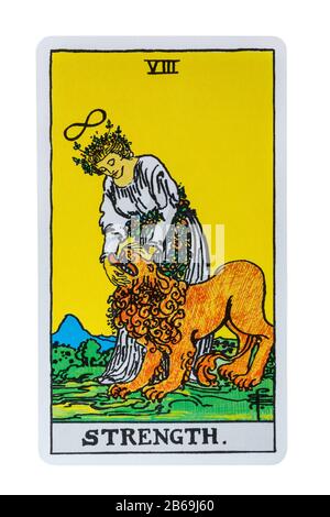 Carta strength tarot delle Rider Tarot Cards disegnata da Pamela Colman  Smith sotto la supervisione di Arthur Edward Waite isolata su sfondo bianco  Foto stock - Alamy