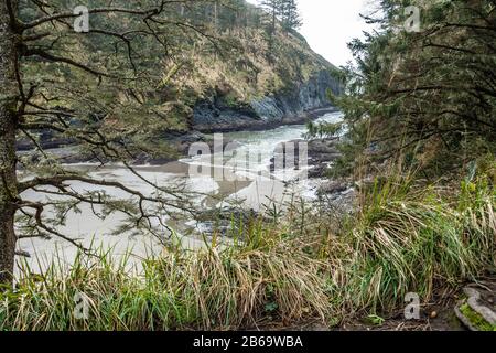 Una vista di Deadman's Cove al Cape Disappdelusione state Park nello stato di Washington. Foto Stock