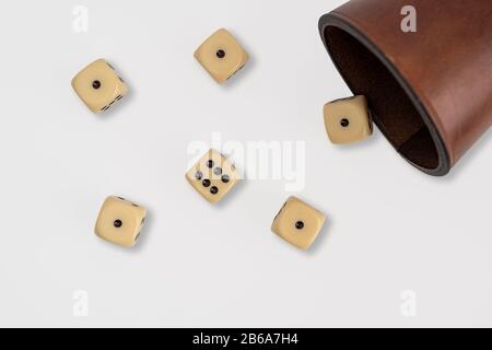 Coppa cubica in pelle con 5 cubetti color avorio su sfondo bianco Foto Stock