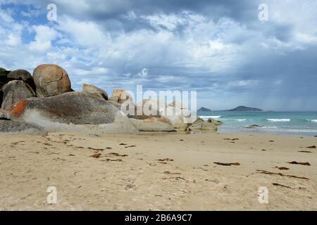 Massivi massi di granito adornano la costa come sculture naturali a Wilsons Prom, Victoria, Australia Foto Stock