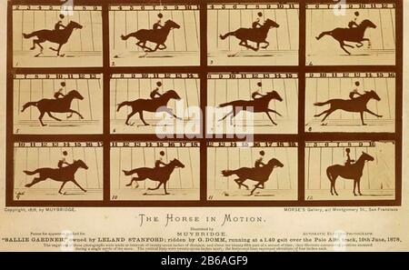 EADWEARD MUYBRIDGE (1830-1904) fotografo anglo-americano. 'sallie Gardner' una delle sue serie 'Horse in Motion' mostra il cavallo da corsa sulla pista di Palo Alto il 19 giugno 1878 Foto Stock