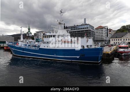 Ricostruita peschereccio, ora cargo/olio di pesce di petroliere e navi di servizio Hordafor III. Nel porto di Bergen, Norvegia. Foto Stock