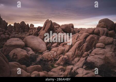 Joshua Tree Rock Formazione Foto Stock