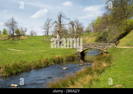 Piccolo ponte di pietra sul fiume Skell, Studley Royal, Ripon, North Yorkshire, Inghilterra, REGNO UNITO. Foto Stock