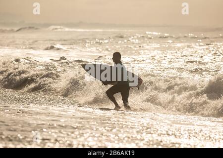 Surfista che esce dall'oceano dopo la sessione mattutina. Foto Stock