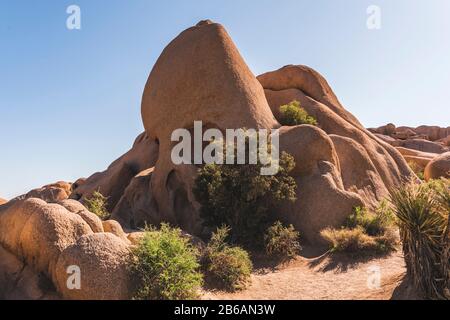 Cranio Rock (Joshua Tree National Park) Foto Stock