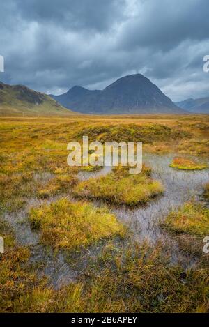 La silhouette blu di Buachaille Etive Mor in lontananza con acque paludose e erba in primo piano. Glencoe, Scottish Highlands, Regno Unito Foto Stock