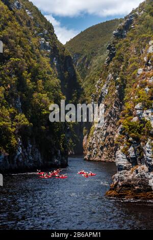 Un gruppo di persone a Kayaks che si svolge in un tour sulle Tempeste gola del fiume dalle Tempeste Bocca del fiume a Tsitsikamma lungo la Garden Route, Sud Africa Foto Stock