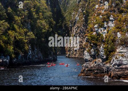 Un gruppo di kayakers che si affacciano nella gola Del fiume Tempeste a Tempeste River Mouth, Tsitsikamma, la Garden Route, Sud Africa Foto Stock