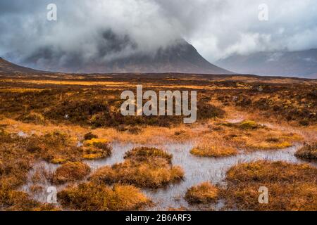 Buachaille Etive Mor avvolto in nuvole con acqua paludosa e erba in primo piano. Glencoe, Scozia Foto Stock