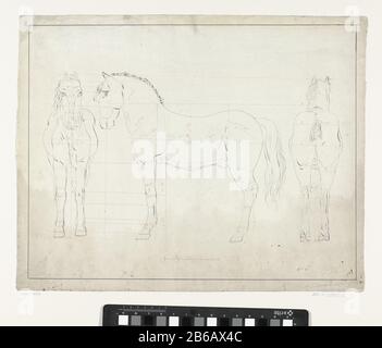 Studio anatomico di un cavallo, dalla parte anteriore, in profilo a sinistra e dietro Anatomische studie van een paard, van voren, in profiel profinaar Links en van achteren Oggetto tipo : tekening Objectnummer: RP-T-2002-64 Produttore : disegnatore: AnoniemPlaats fabbricazione: Nederland (mogelijk) dating: Na 1800 - voor 1899 kenmerken Fisico: Penna in zwart Materiale: Papier inkt Techniek: Pen dimensioni: H 390 mm × b 490 mm Foto Stock